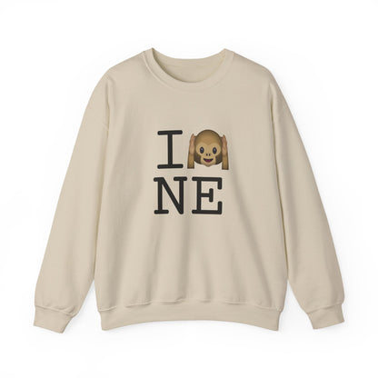 "I Don't Hear Nebraska" Sweatshirt