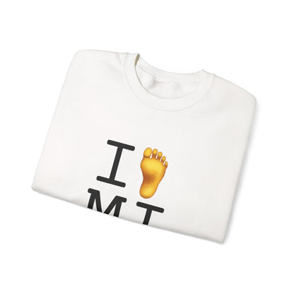 "I Foot Michigan" Sweatshirt