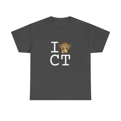 "I Don't Speak about Connecticut" Tee
