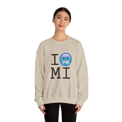"I'm Cold in Michigan" Sweatshirt