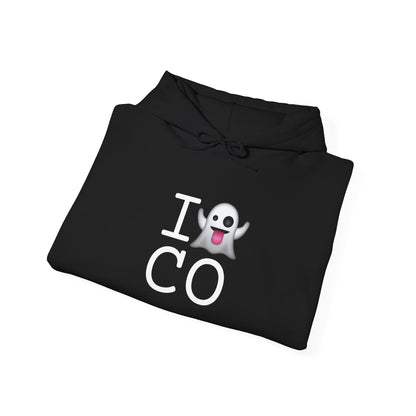 "I'm Ghosting Colorado" Hoodie