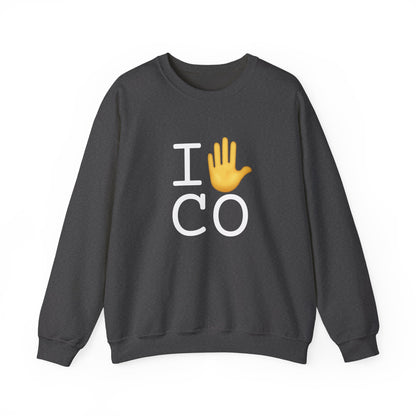 "I Stop (Raised Hand) Colorado" Sweatshirt