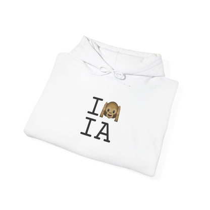 "I Don't Hear Iowa" Hoodie