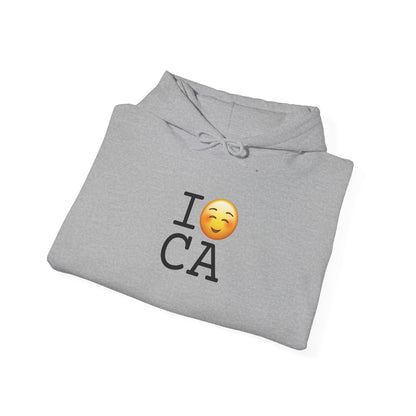"I Blush at California" Hoodie