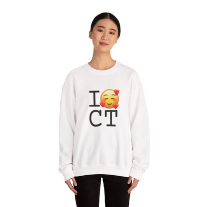 "I Adore Connecticut" Sweatshirt