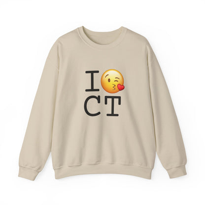 "I Blow a Kiss at Connecticut" Sweatshirt