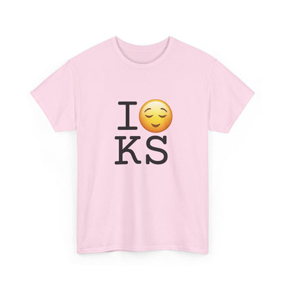 "I'm Relieved about Kansas" Tee