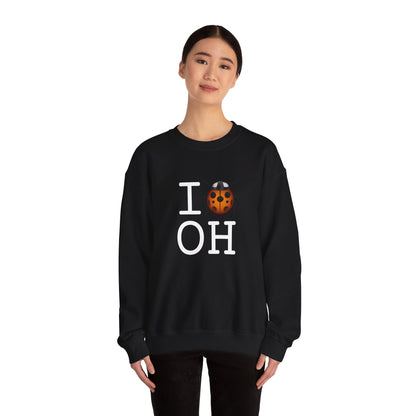 "I Ladybug Ohio" Sweatshirt
