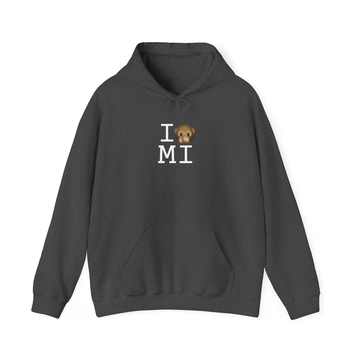 "I Don't Speak about Michigan" Hoodie