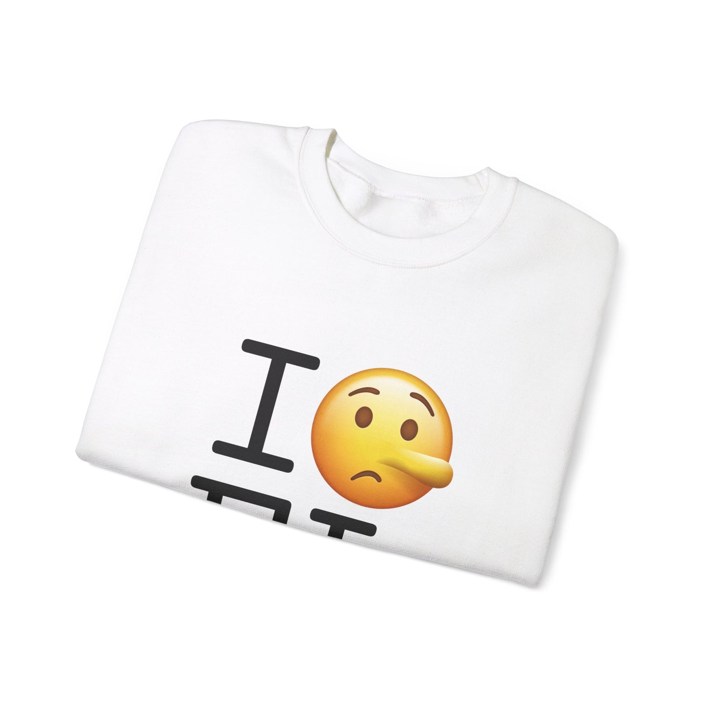 "I Lie about Florida" Sweatshirt