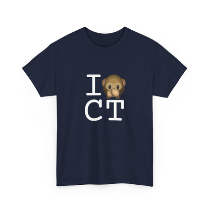 "I Don't Speak about Connecticut" Tee