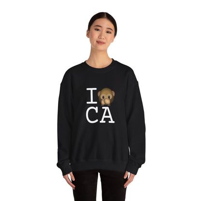 "I Don't Speak about California" Sweatshirt