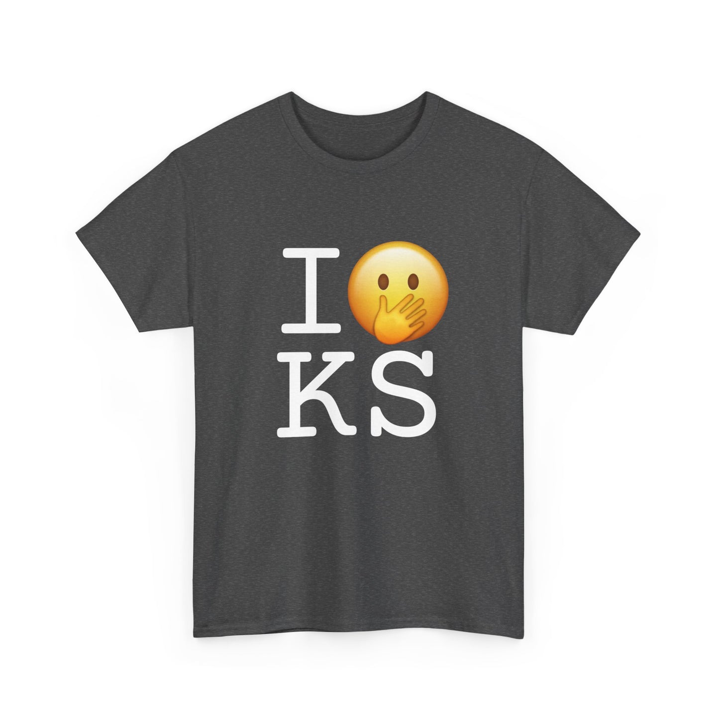 "I Messed Up (Oops) in Kansas" Tee