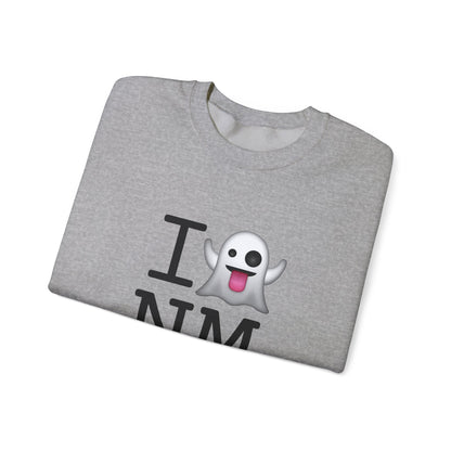 "I'm Ghosting New Mexico" Sweatshirt