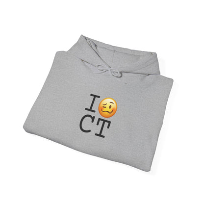 "I'm Drunk in Connecticut" Hoodie