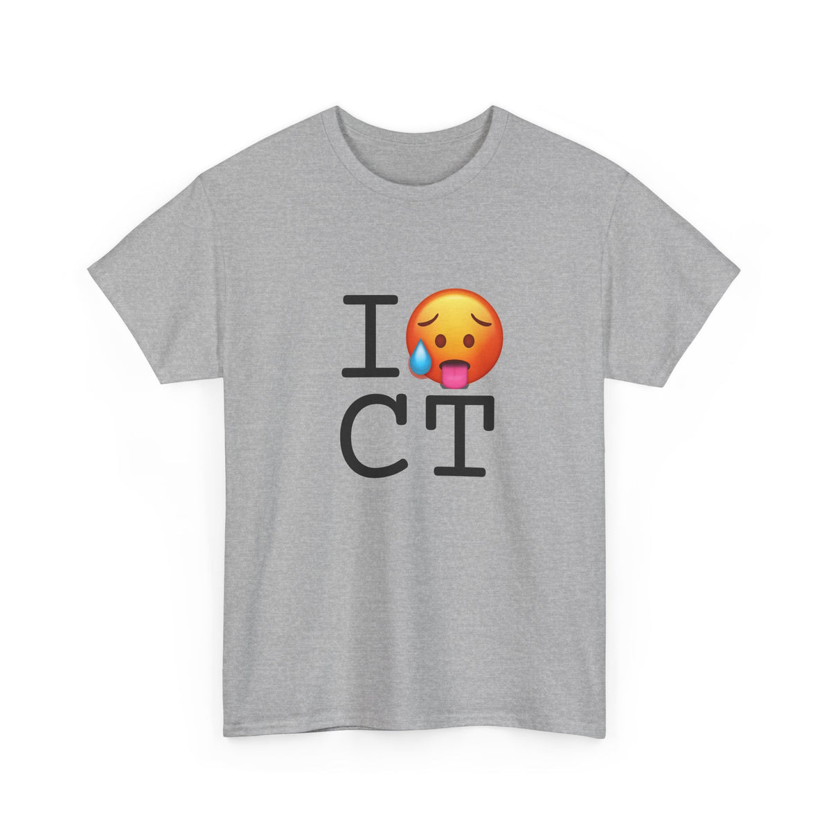 "I'm Hot in Connecticut" Tee