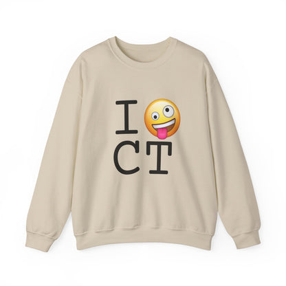 "I'm Crazy about Connecticut" Sweatshirt