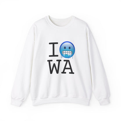 "I'm Cold in Washington" Sweatshirt