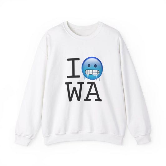 "I'm Cold in Washington" Sweatshirt