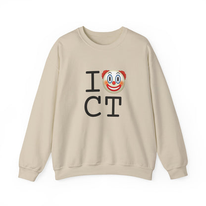 "I Clown on Connecticut" Sweatshirt