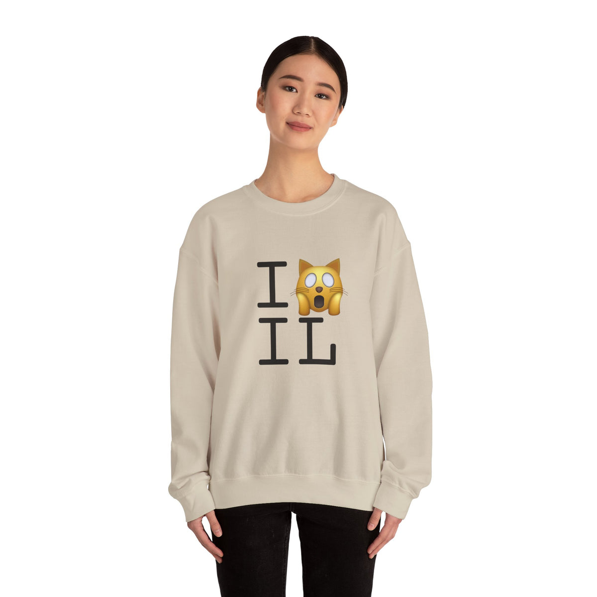 "I'm a Scaredy Cat about Illinois" Sweatshirt