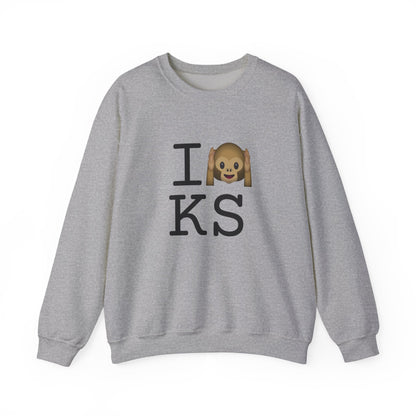 "I Don't Hear Kansas" Sweatshirt