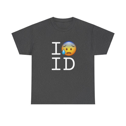 "I'm Anxiously Sweating in Idaho" Tee