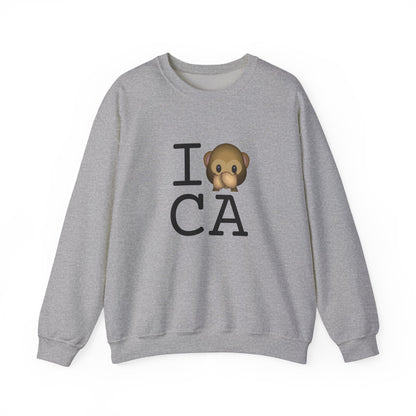 "I Don't Speak about California" Sweatshirt