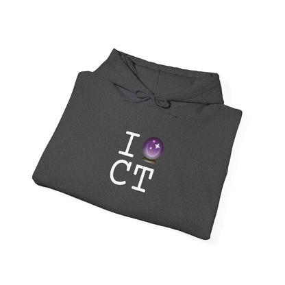 "I Predict the Future (Crystal Ball) of Connecticut" Hoodie