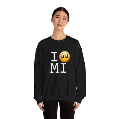"I'm Begging about Michigan" Sweatshirt