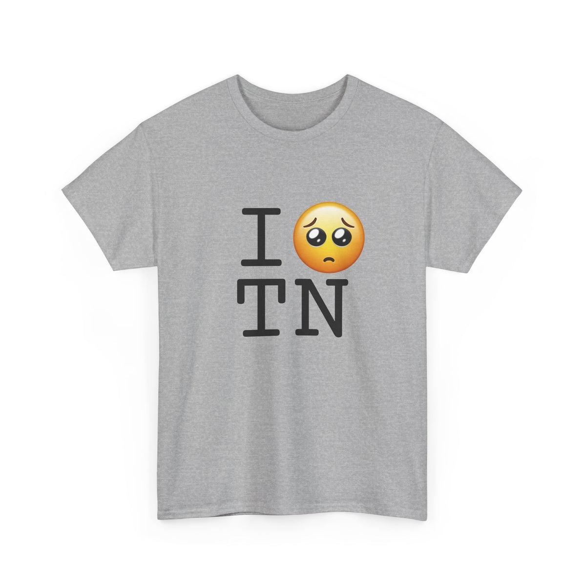 "I'm Begging about Tennessee" Tee