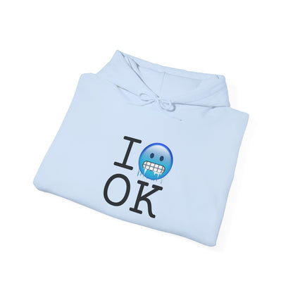 "I'm Cold in Oklahoma" Hoodie