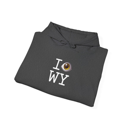 "I See (Eye) Wyoming" Hoodie