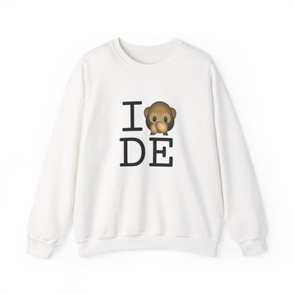 "I Don't Speak about Delaware" Sweatshirt