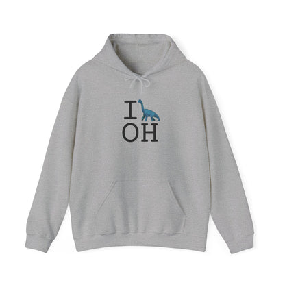 "I'm a Dinosaur in Ohio" Hoodie