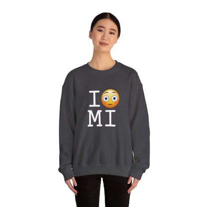 "I'm Embarrassed by Michigan" Sweatshirt