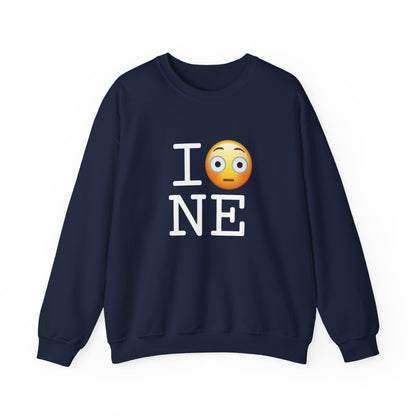 "I'm Embarrassed by Nebraska" Sweatshirt