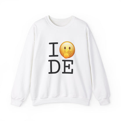 "I Messed Up (Oops) in Delaware" Sweatshirt