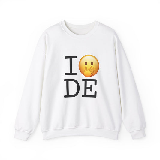 "I Messed Up (Oops) in Delaware" Sweatshirt
