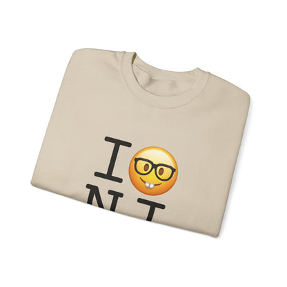 "I'm a Nerd about New Jersey" Sweatshirt
