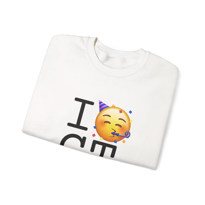 "I Celebrate Connecticut" Sweatshirt