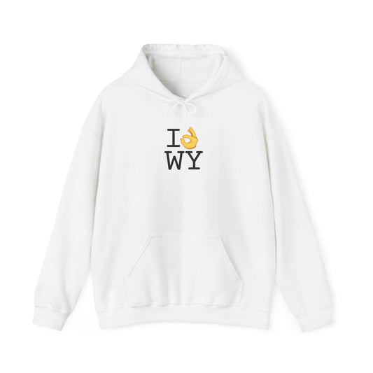 "I'm OK with Wyoming" Hoodie