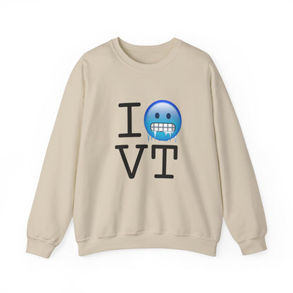 "I'm Cold in Vermont" Sweatshirt
