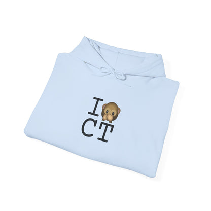 "I Don't Speak about Connecticut" Hoodie
