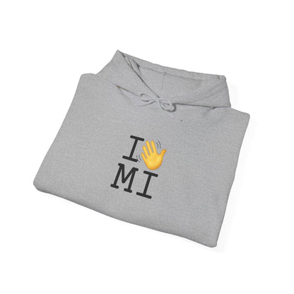 "I Wave at Michigan" Hoodie