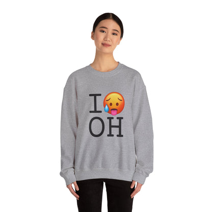 "I'm Hot in Ohio" Sweatshirt