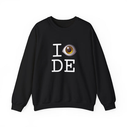 "I See (Eye) Delaware" Sweatshirt