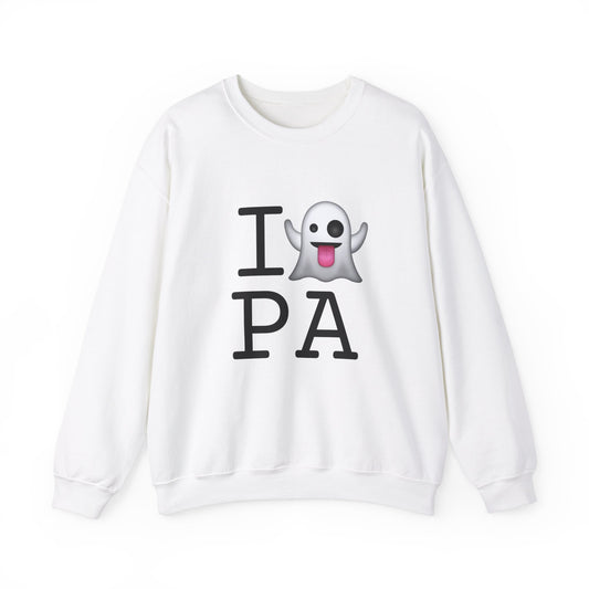 "I'm Ghosting Pennsylvania" Sweatshirt