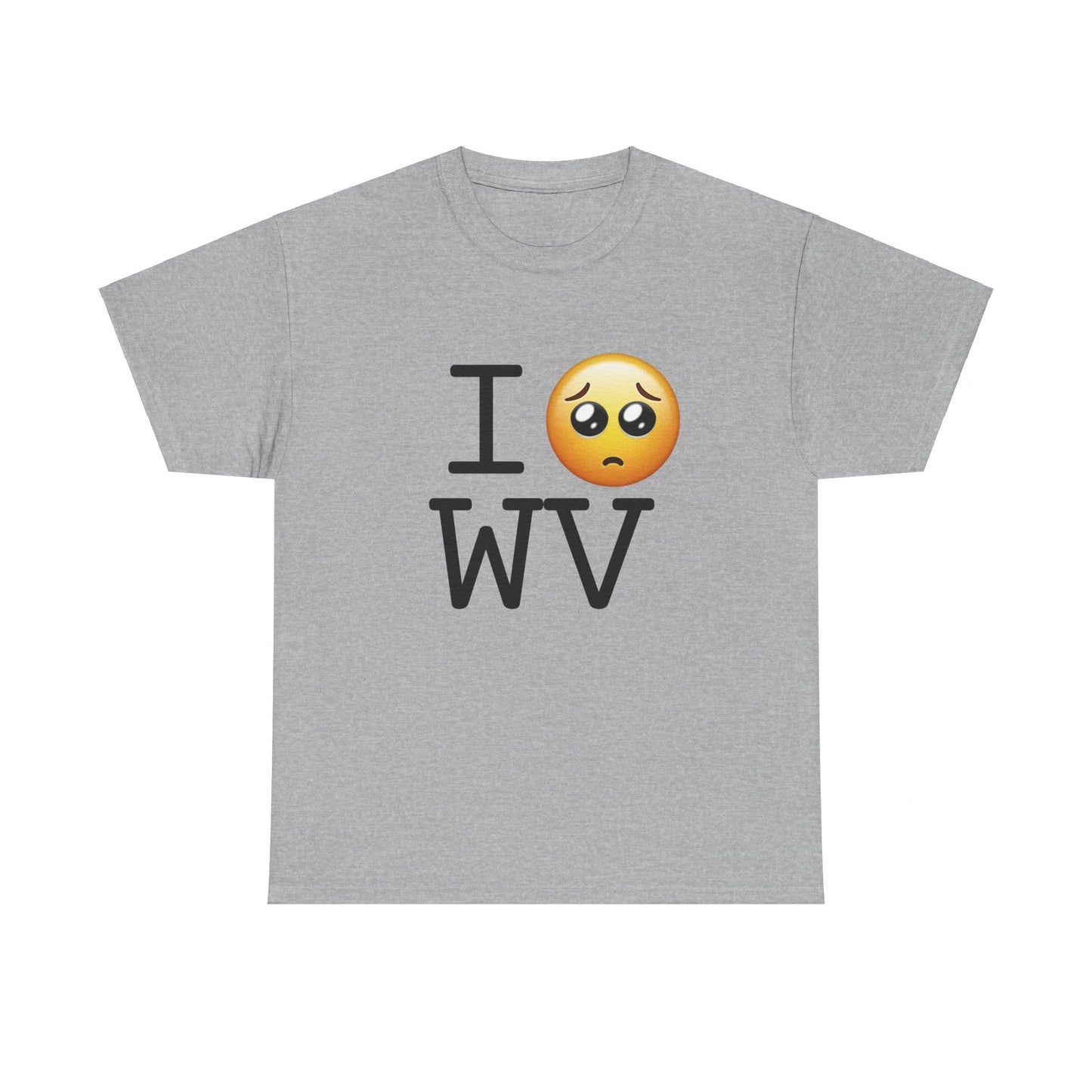 "I'm Begging about West Virginia" Tee