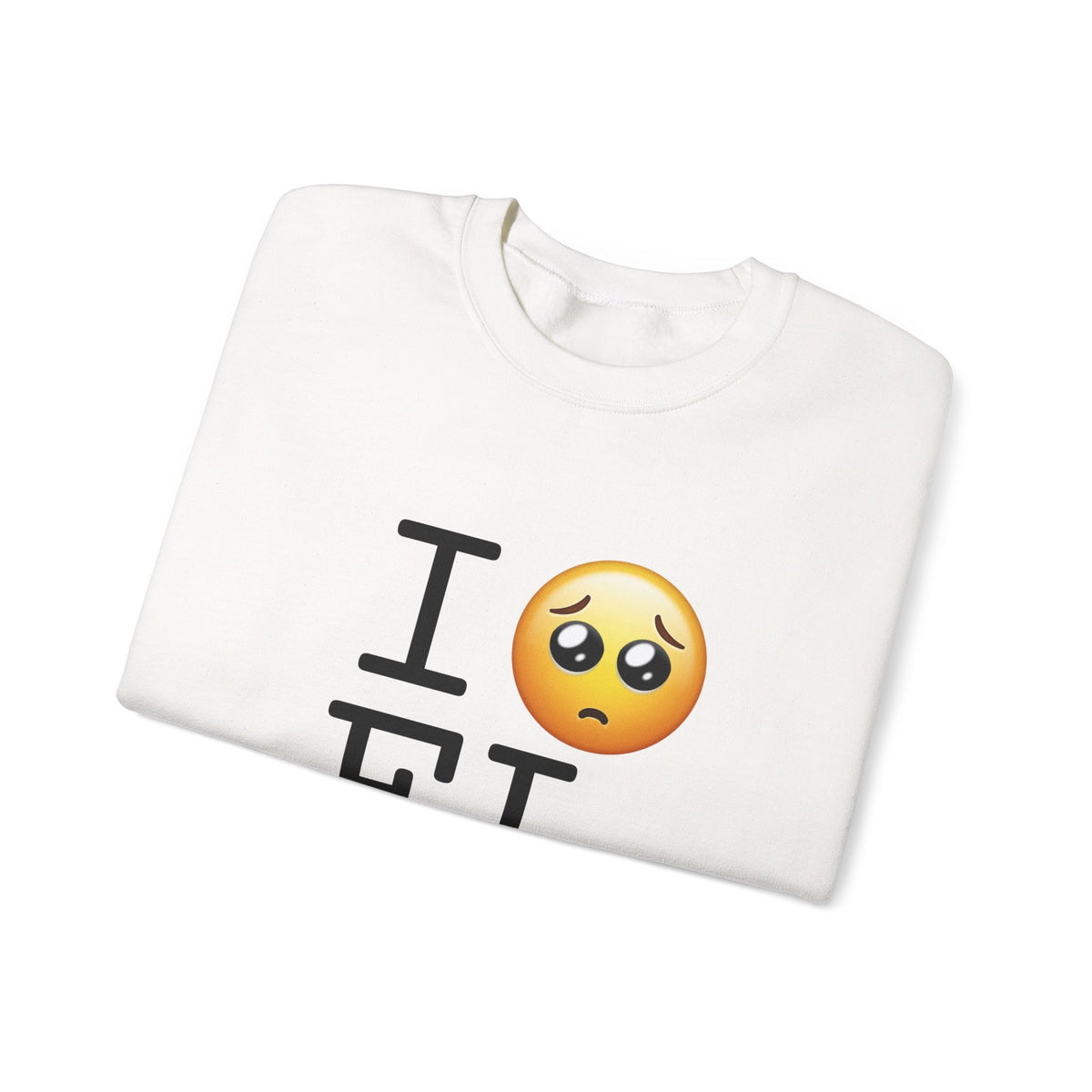 "I'm Begging about Florida" Sweatshirt